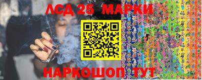 ГАЛЛЮЦИНОГЕННЫЕ ГРИБЫ Гатчина