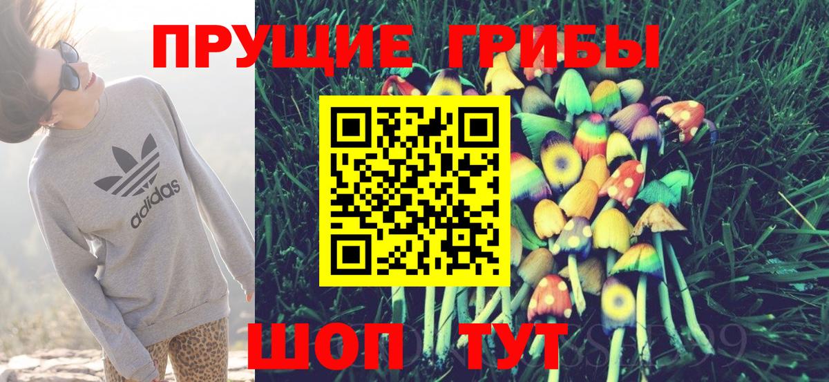 Галлюциногенные грибы Psilocybine cubensis Тимашёвск