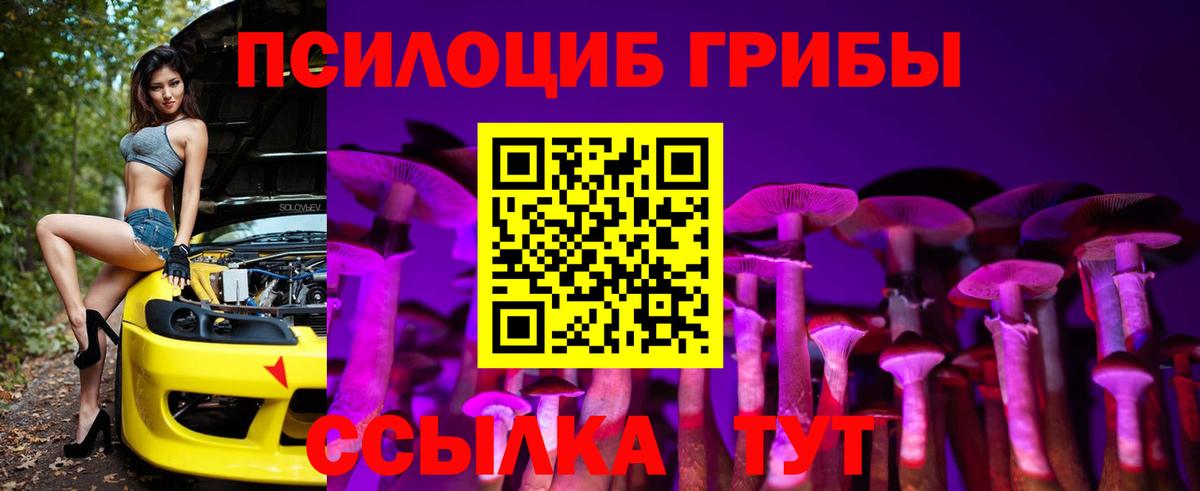 Псилоцибиновые грибы GOLDEN TEACHER  Псилоцибиновые грибы MAGIC MUSHROOMS  Вход с VPN  Тимашёвск 